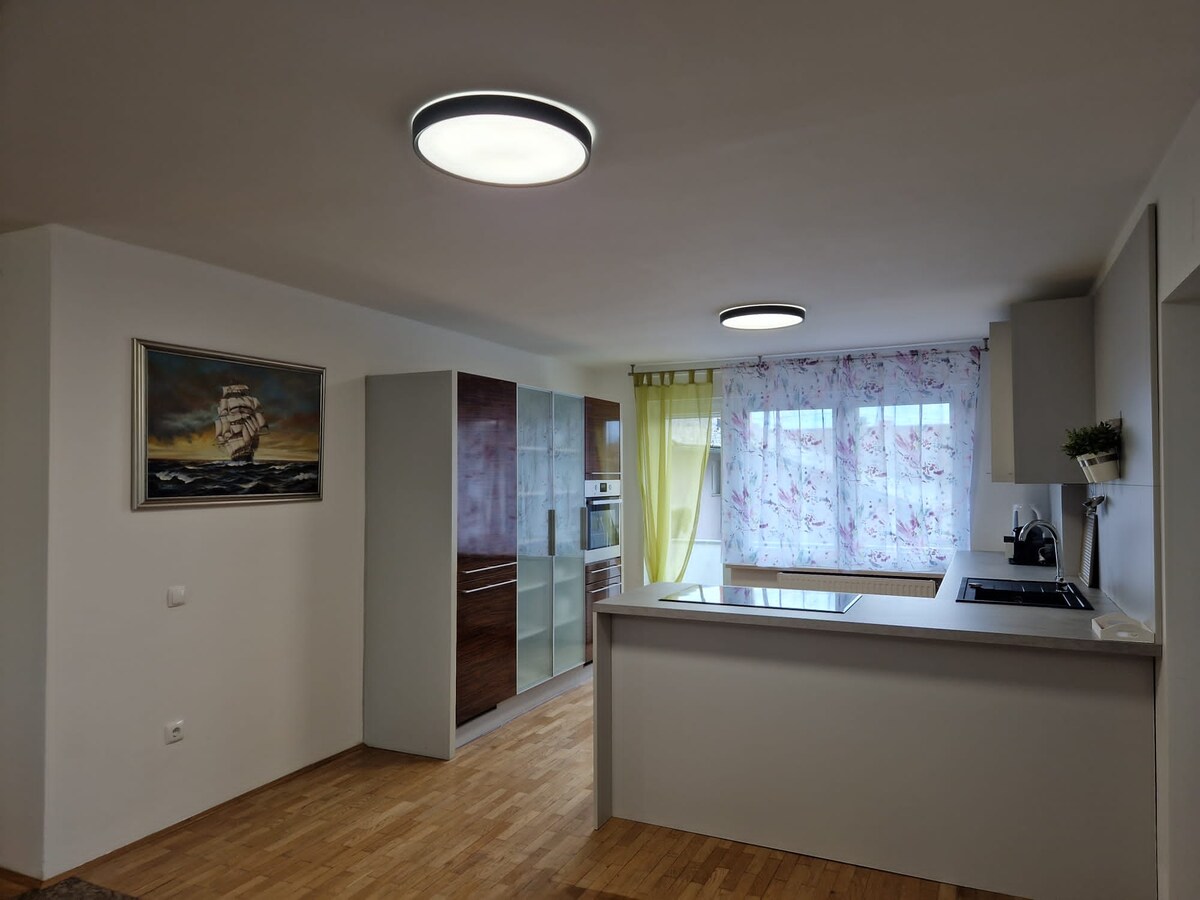 Kitchen with tall walnut and frosted-glass cabinets housing a built-in oven, a concrete-look peninsula with induction hob and black sink, floral net curtains at the window and a sailing ship painting on the left wall